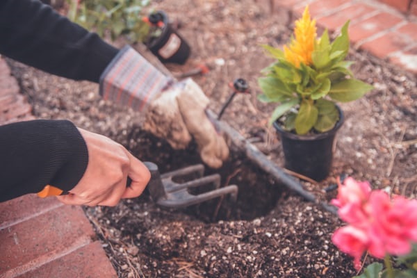 landscaping insurance for Arizona businesses